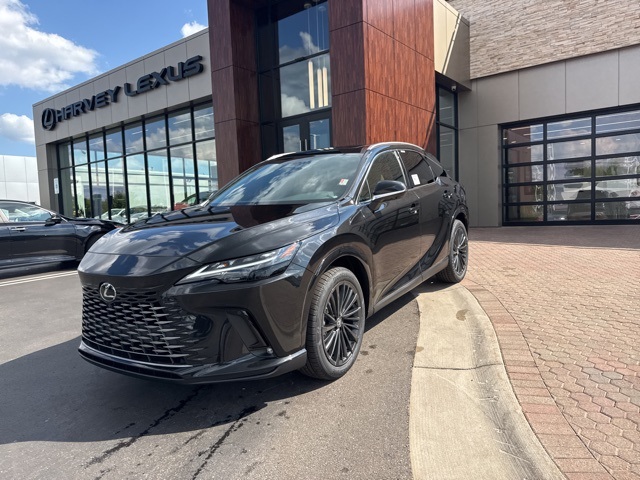 2025 Lexus RX 350 Premium photo 15