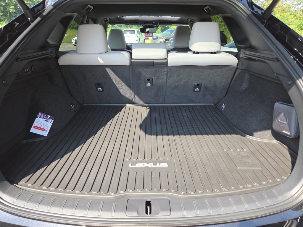 2024 Lexus RX 350 Premium photo 29