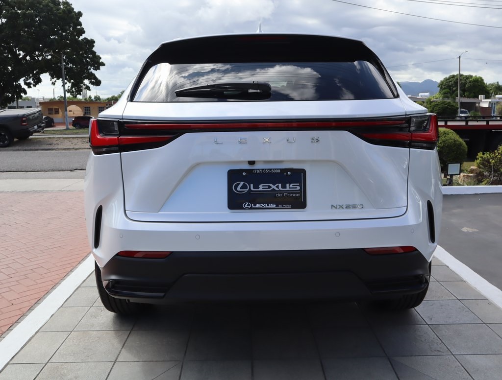 2025 Lexus NX 250 photo 5