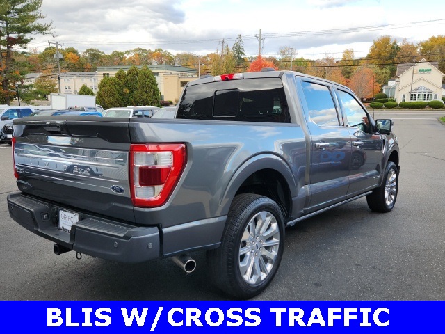 2023 Ford F-150 Limited photo 3