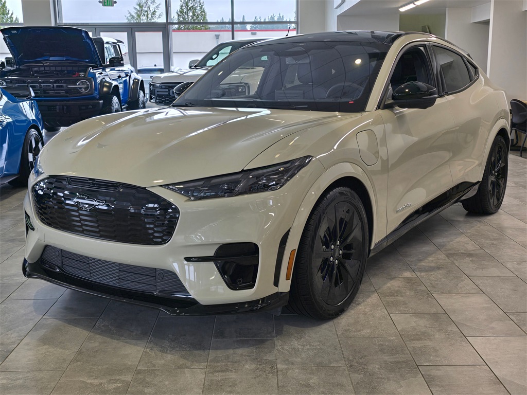 2025 Ford Mustang Mach-E GT photo 3