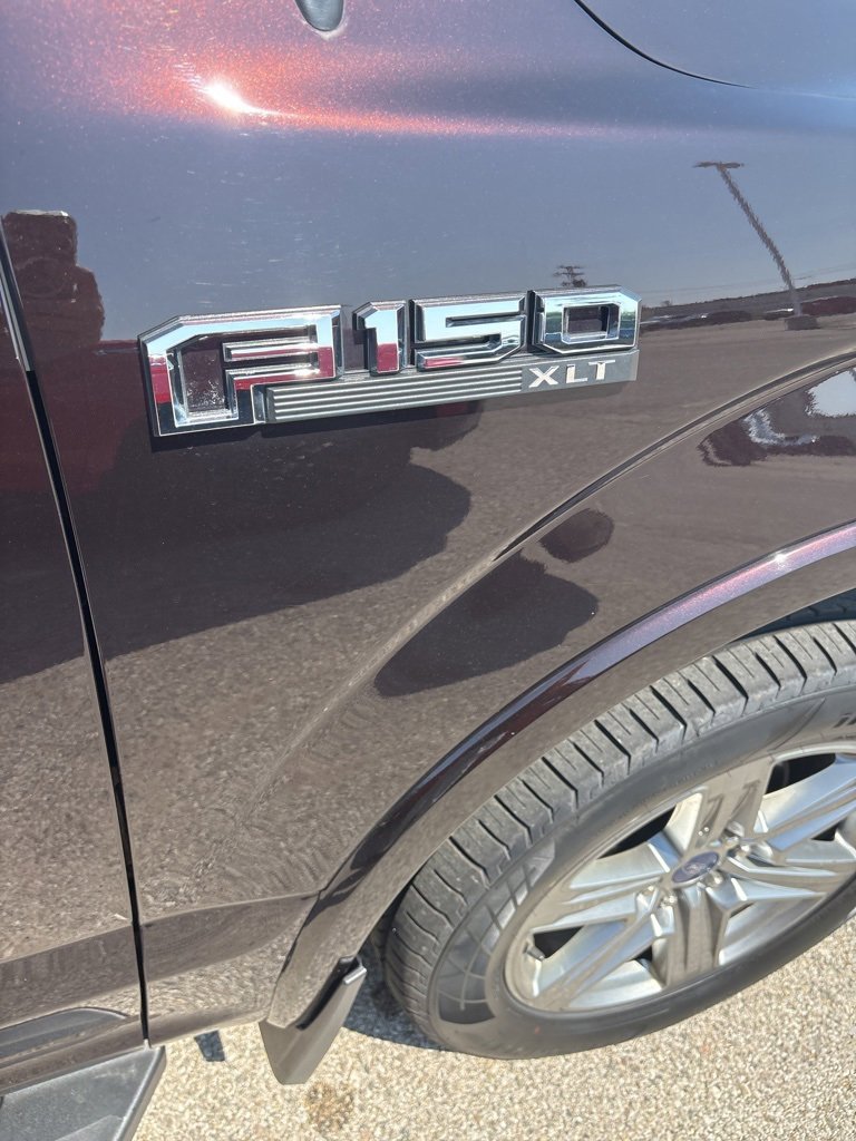 2019 Ford F-150 XL photo 4
