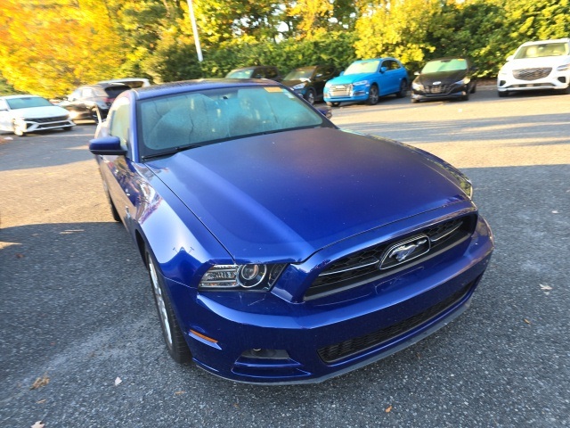 Used 2013 Ford Mustang V6 Premium with VIN 1ZVBP8AM2D5218581 for sale in Matthews, NC