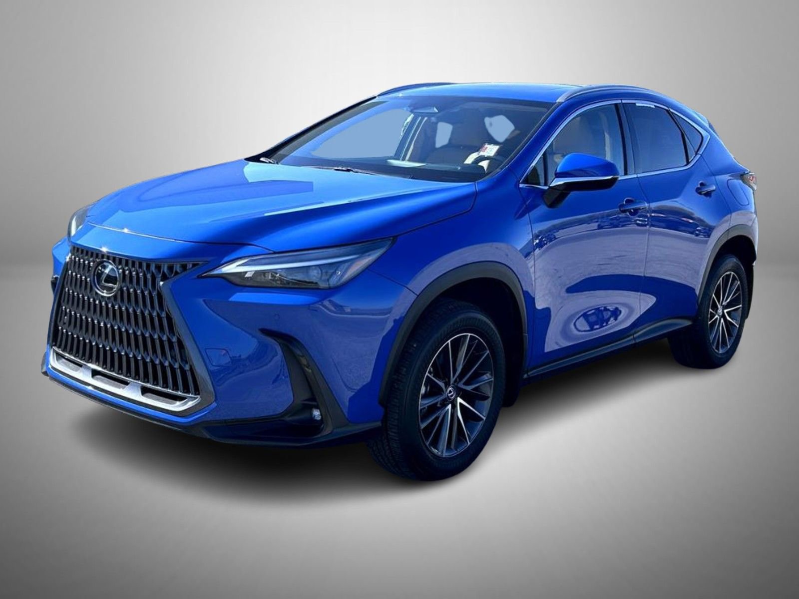 2024 Lexus NX 350's photo