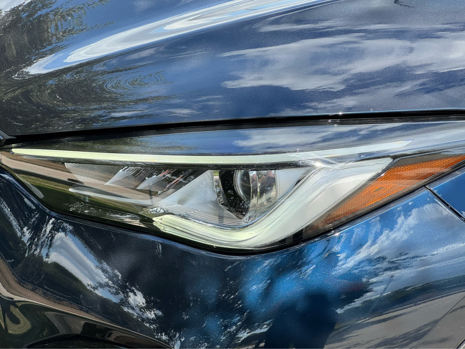 2024 Infiniti QX50 SPORT photo 7