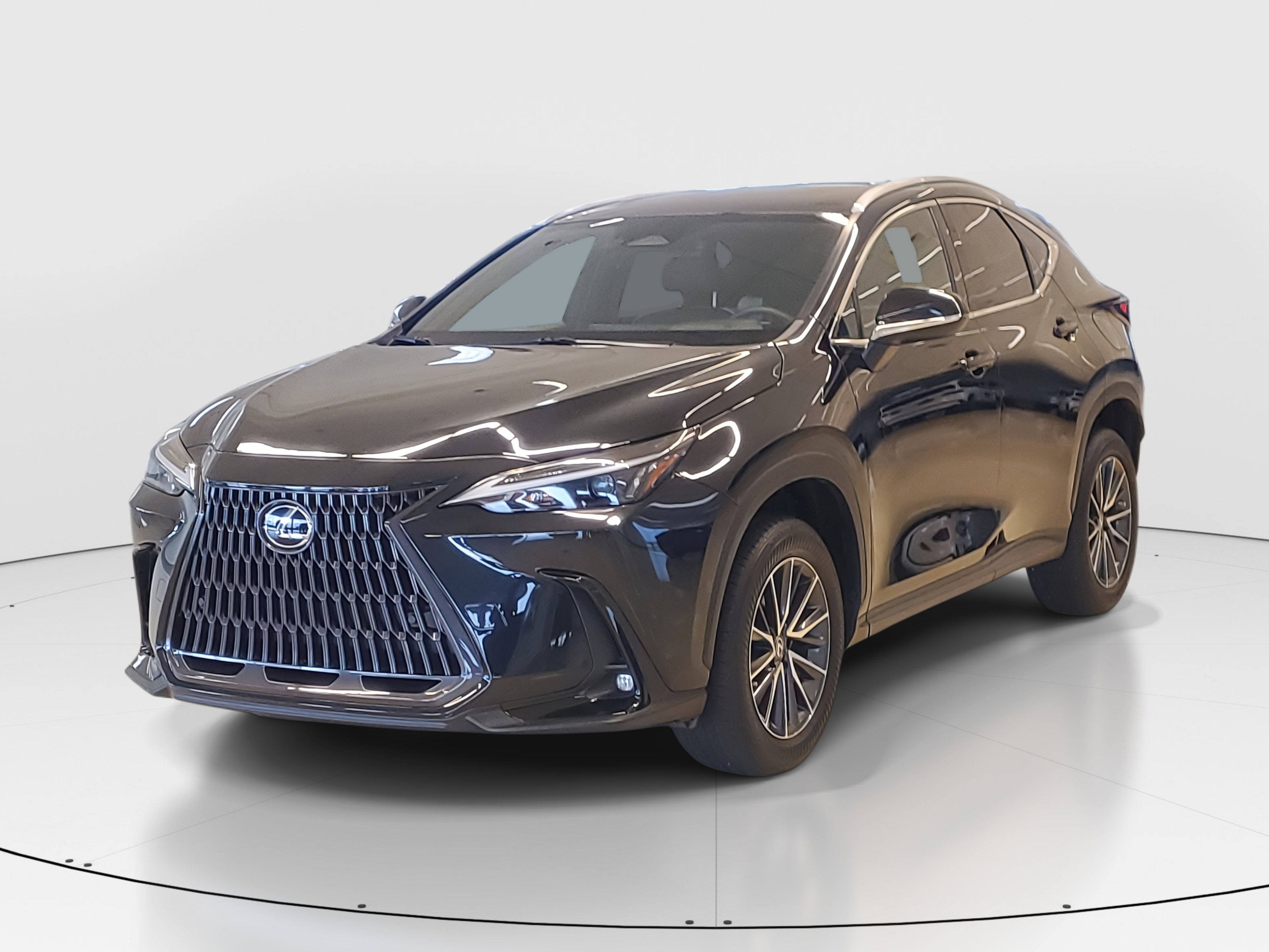 2023 Lexus NX 250 Premium photo 4