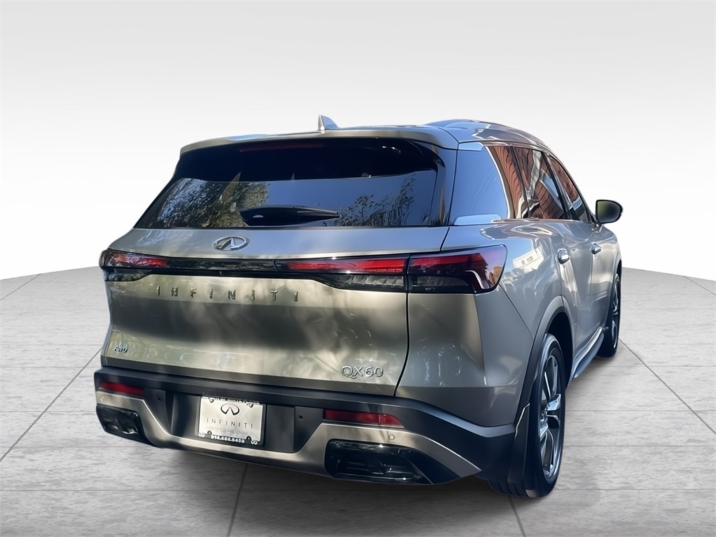 2023 Infiniti QX60 Luxe photo 3