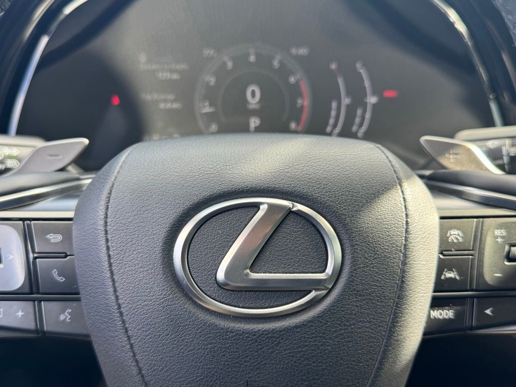 2023 Lexus RX 350 Premium photo 28