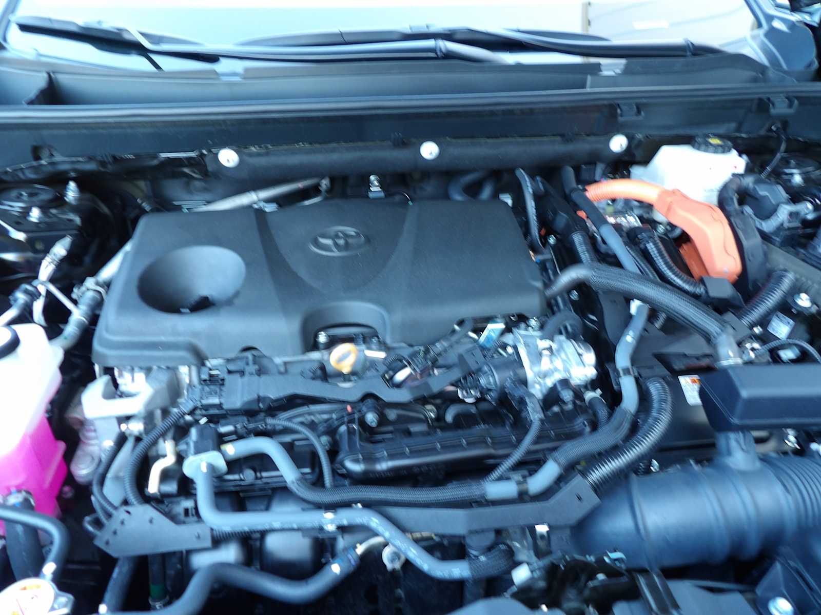 2024 Toyota RAV4 Hybrid XLE photo 14