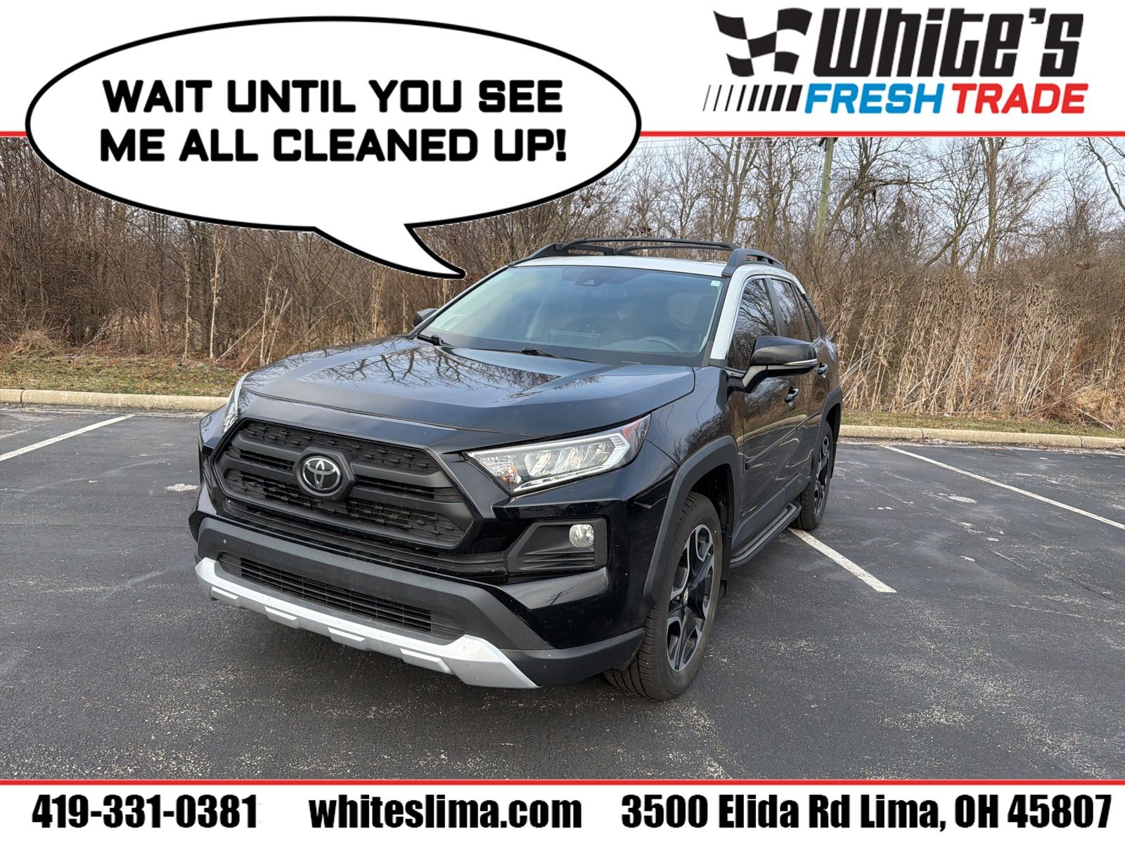 2019 Toyota RAV4 Adventure's photo