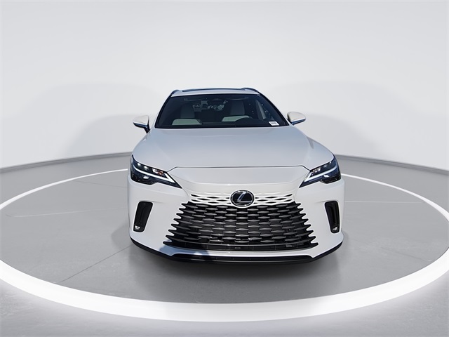 2025 Lexus RX Premium photo 3