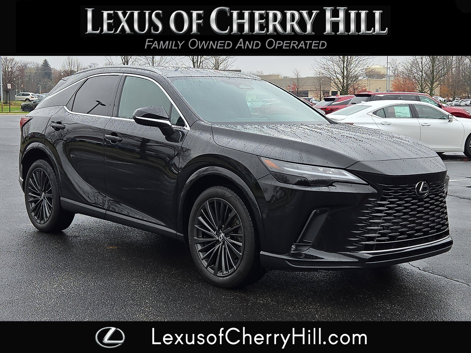 2024 Lexus RX 350's photo