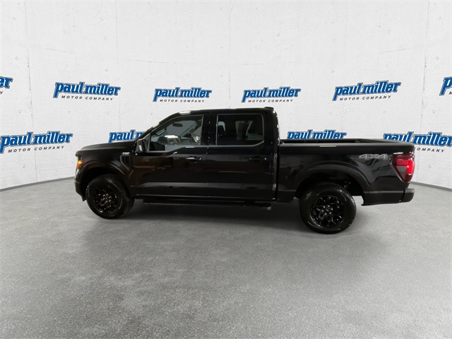 2025 Ford F-150 XLT photo 6