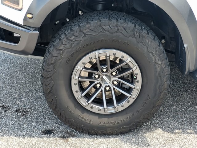2019 Ford F-150 Raptor photo 8