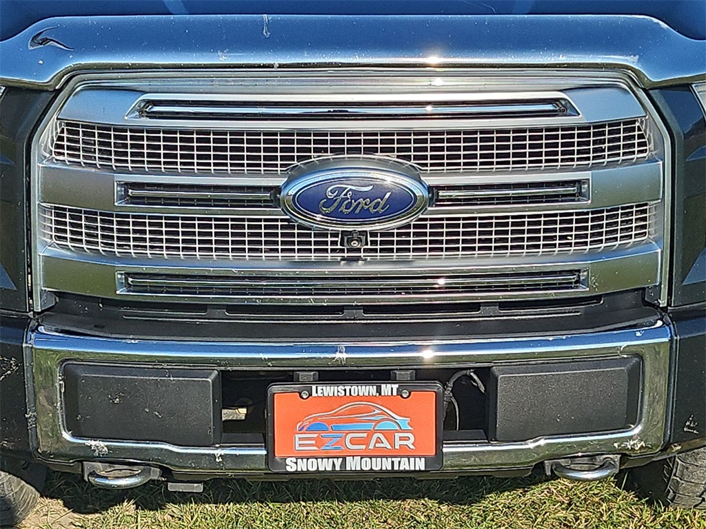 2015 Ford F-150 Platinum photo 14