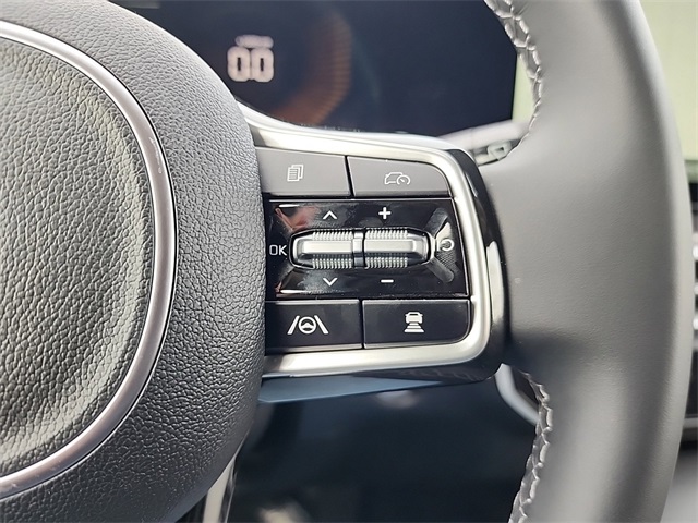2025 Kia Sorento Hybrid EX photo 21