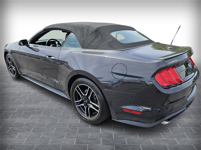 2023 Ford Mustang EcoBoost Premium photo 5