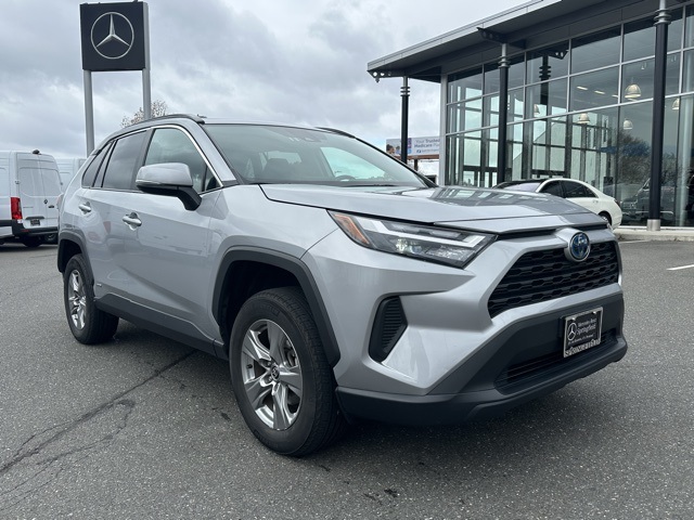 2024 Toyota RAV4 XLE's photo