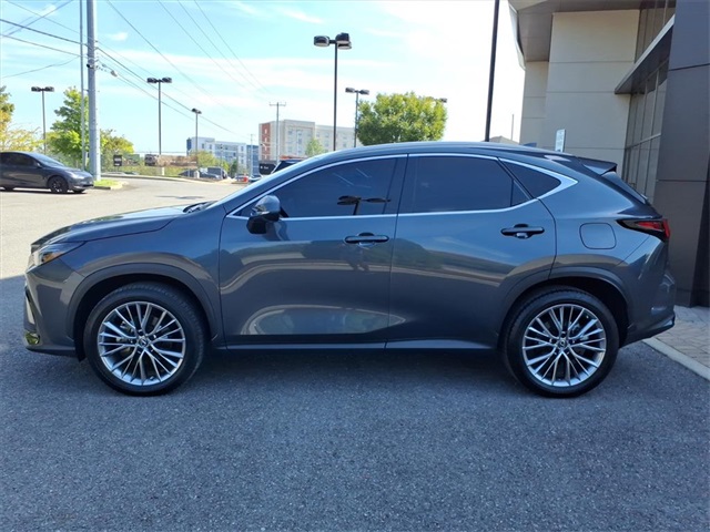 2023 Lexus NX 350h Luxury photo 5