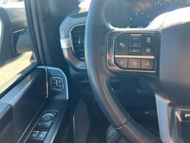 2024 Ford F-150 Platinum photo 11