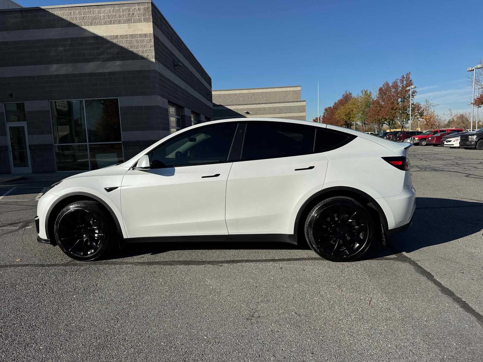 2023 Tesla Model Y photo 2