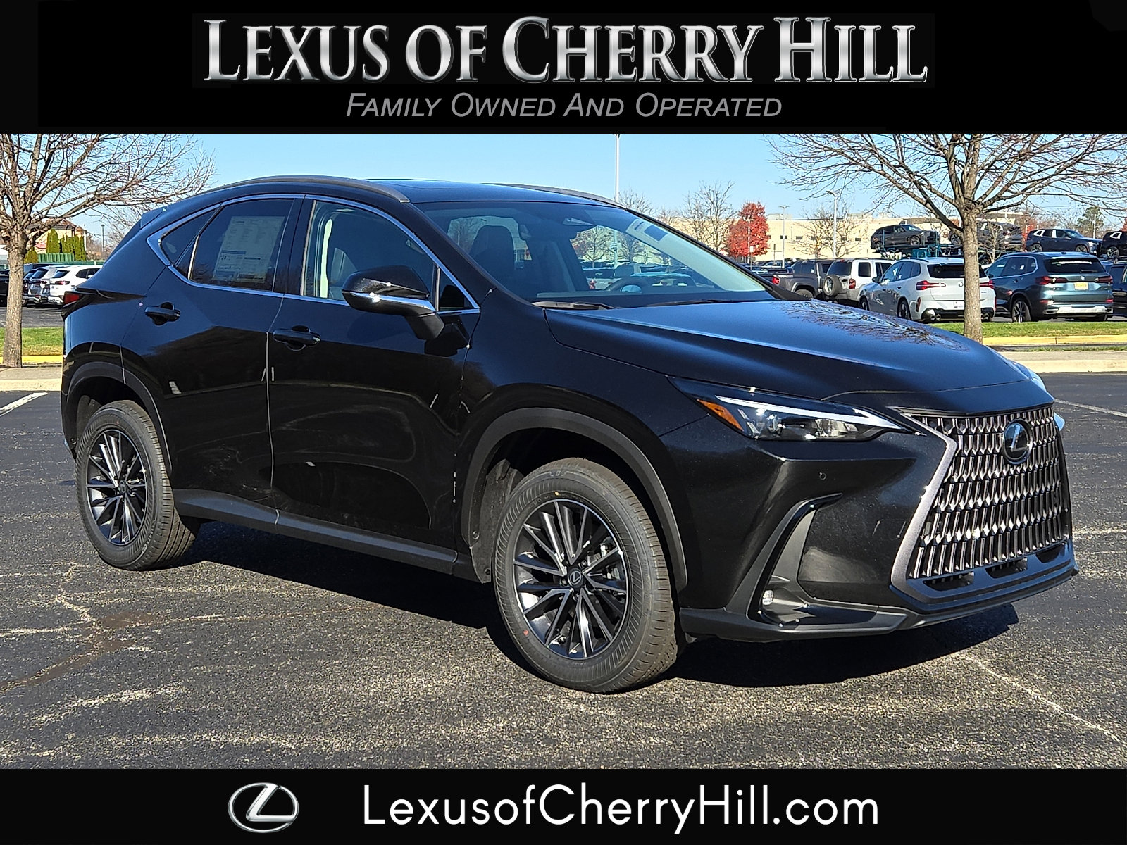 2026 Lexus NX 350's photo