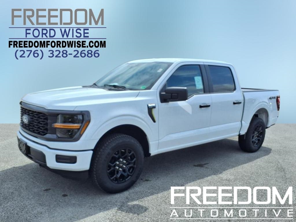 2025 Ford F-150 STX's photo