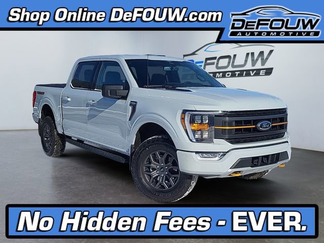 2023 Ford F-150 Tremor's photo