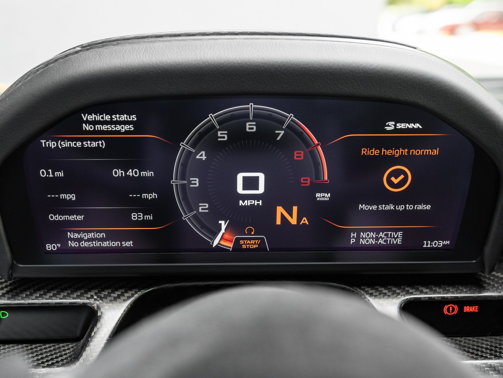 2019 Mclaren SENNA photo 38