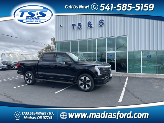 2025 Ford F-150 Lightning Platinum's photo