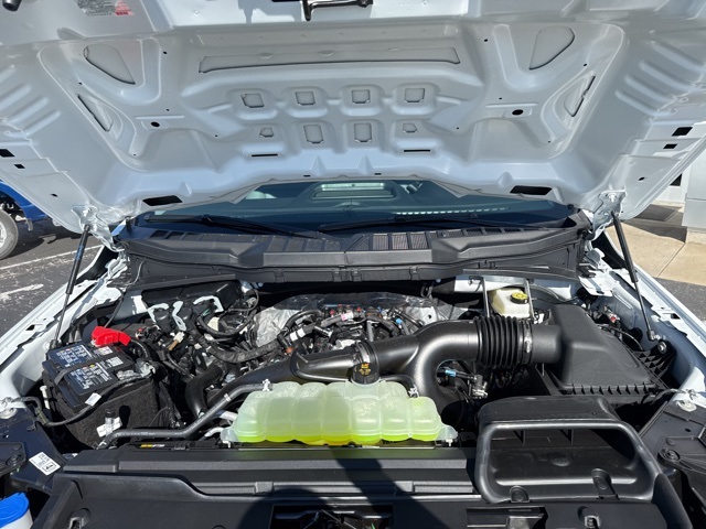 2025 Ford F-150 XL photo 32