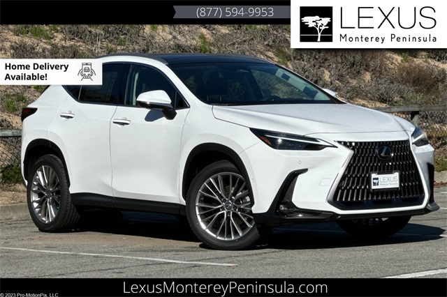 2026 Lexus NX 350's photo