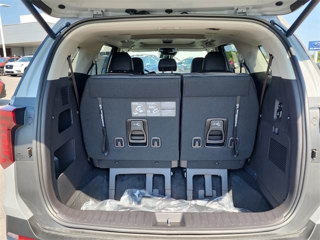 2026 Kia Carnival SX Prestige photo 3