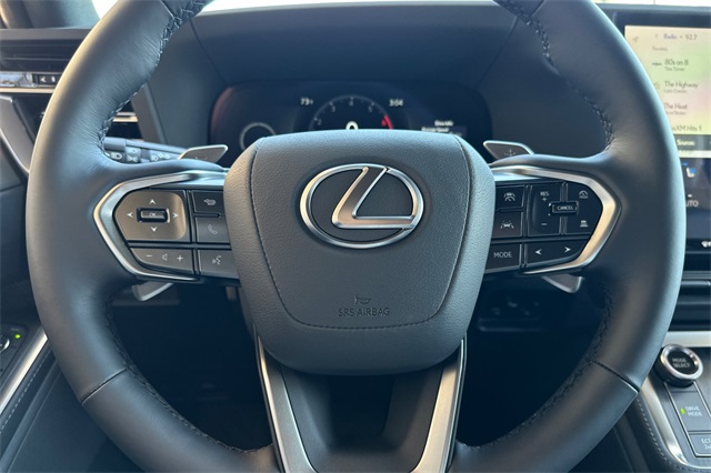 2025 Lexus GX 550 Premium photo 20