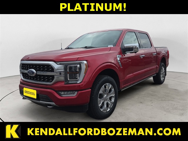 2021 Ford F-150 Platinum's photo