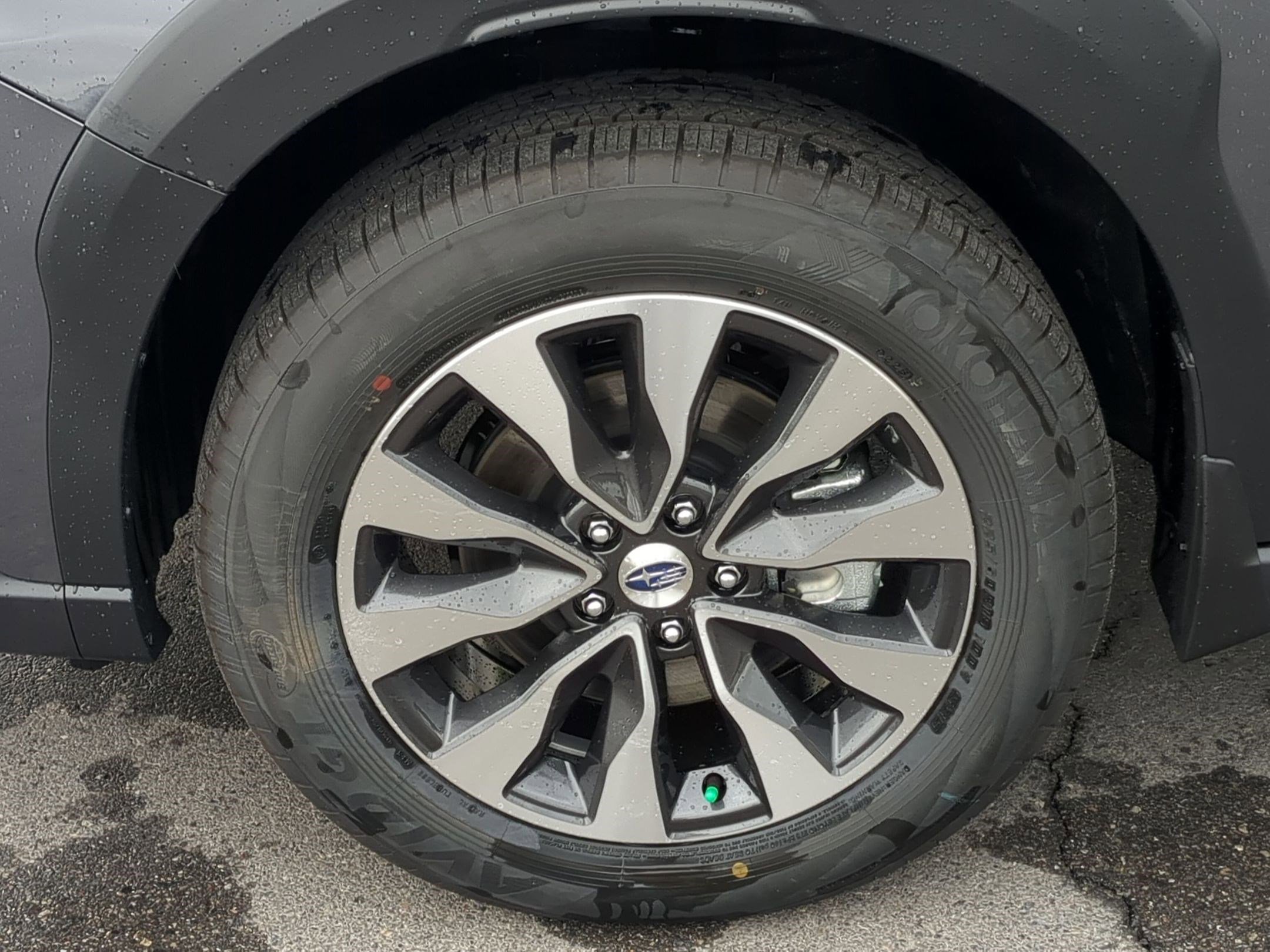 2025 Subaru Outback Limited photo 16