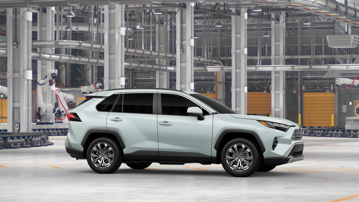 2025 Toyota RAV4 Hybrid Limited photo 10