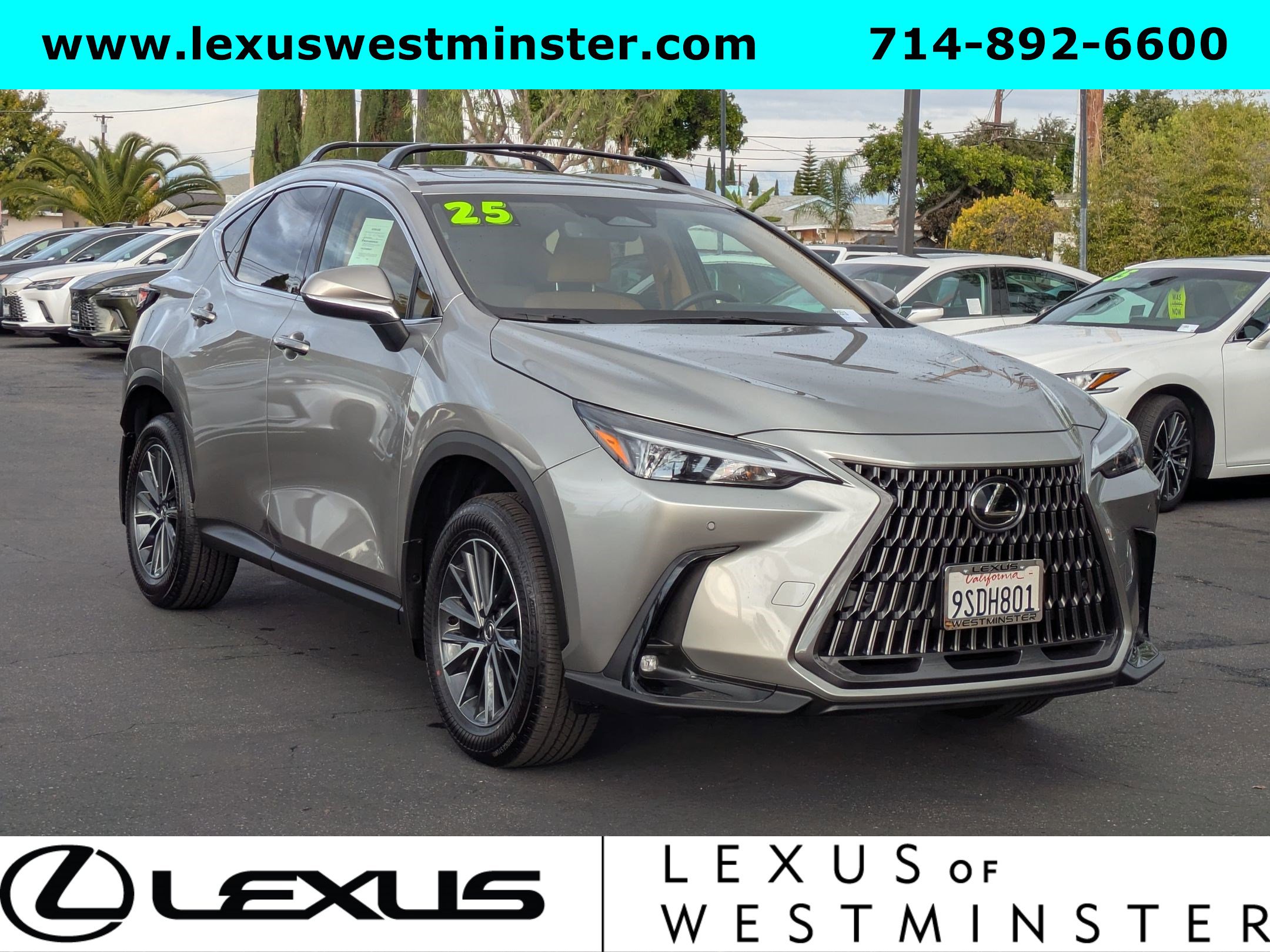 2025 Lexus NX 250 Premium photo 3