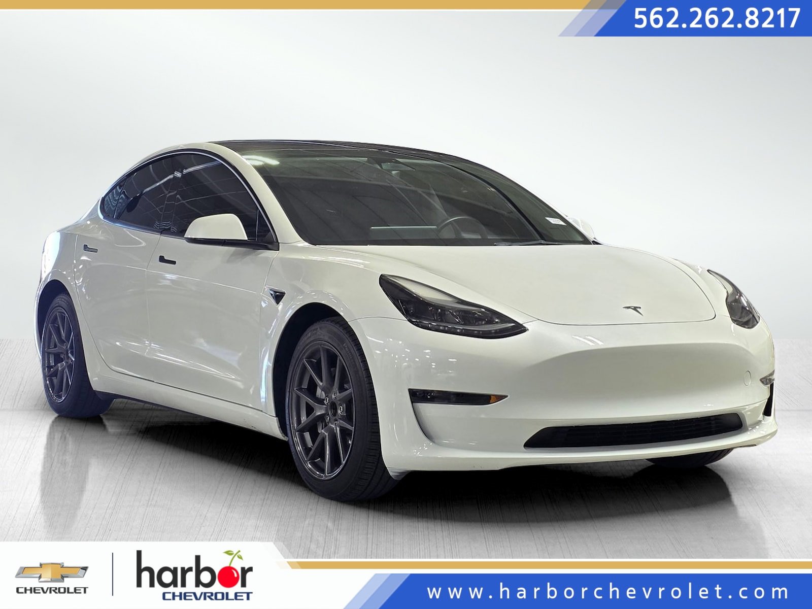 2023 Tesla Model 3 Base's photo