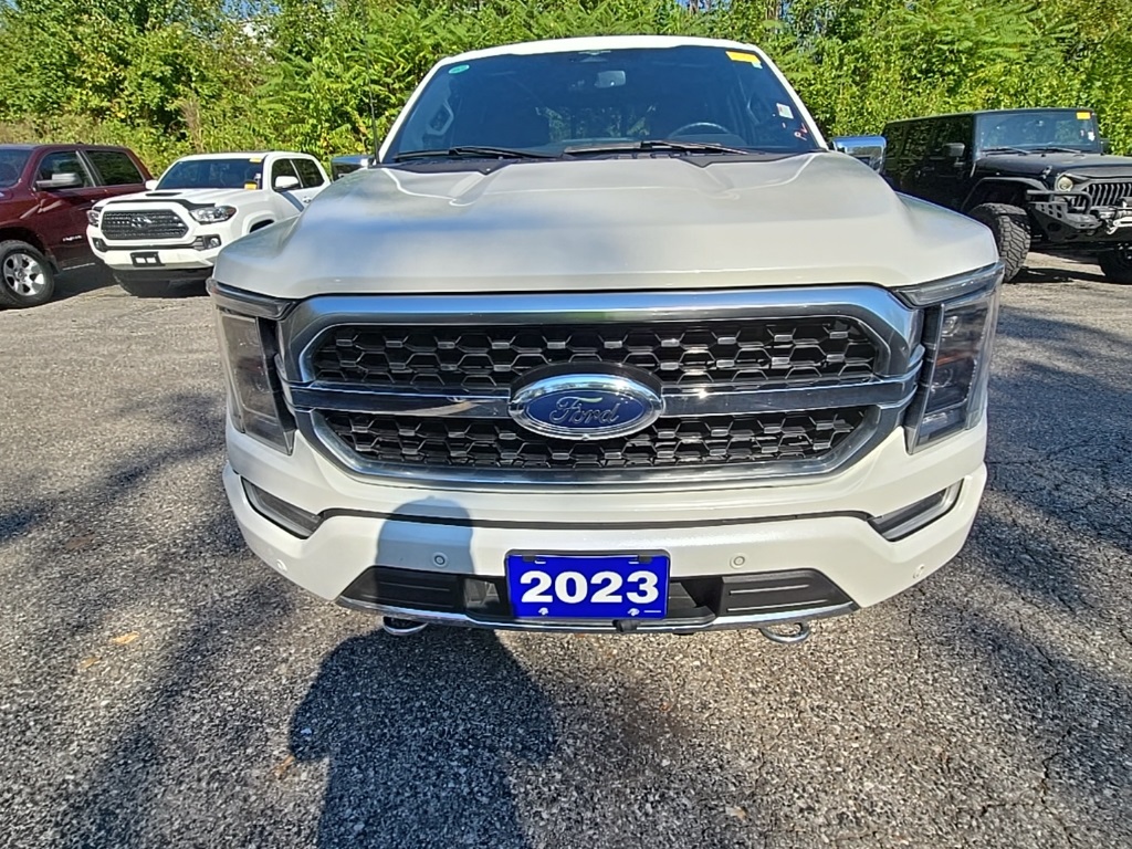 2023 Ford F-150 Platinum photo 12