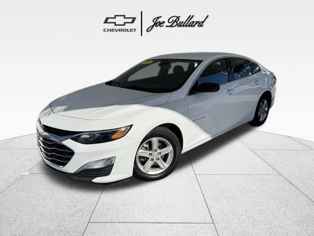 2020 Chevrolet Malibu 1LS's photo