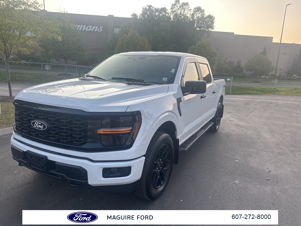 2025 Ford F-150 STX photo 9