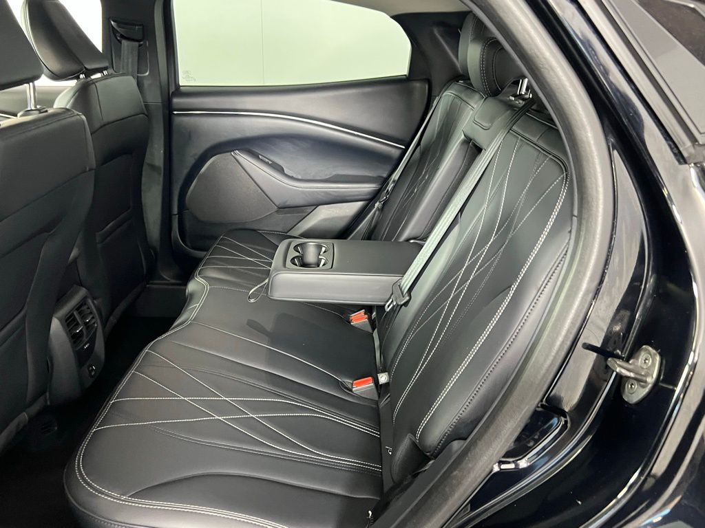 2021 Ford Mustang Mach-E California Route 1 photo 20
