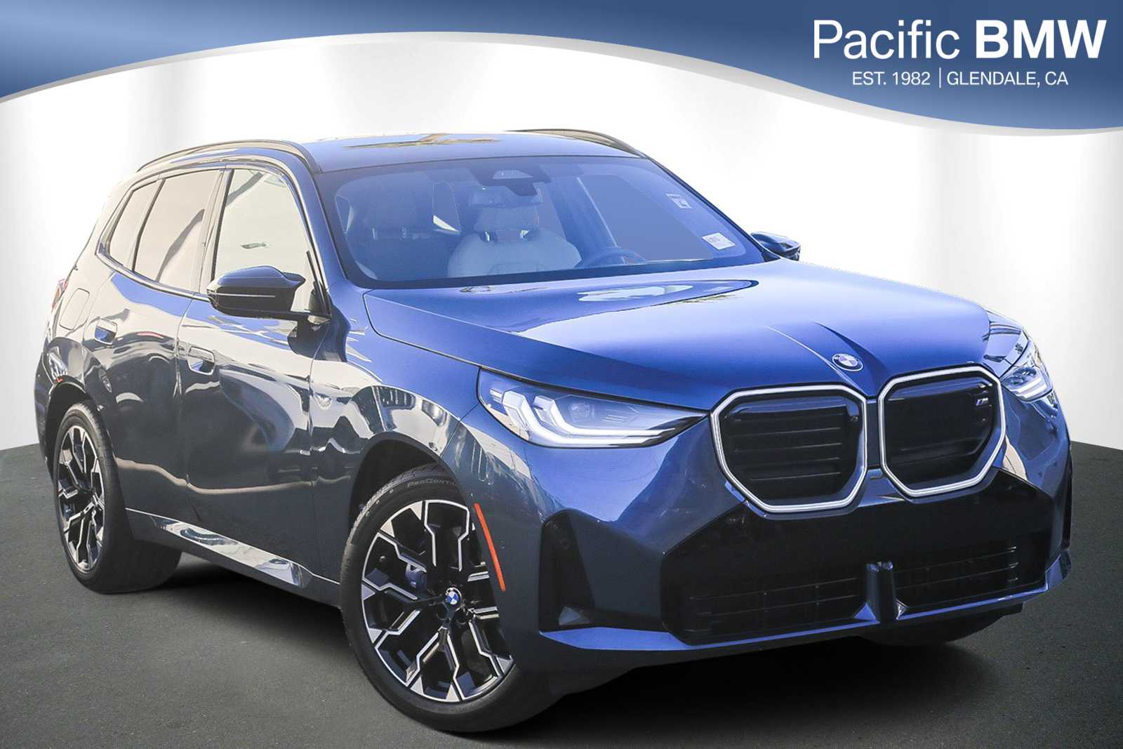 2025 BMW X3 M50's photo