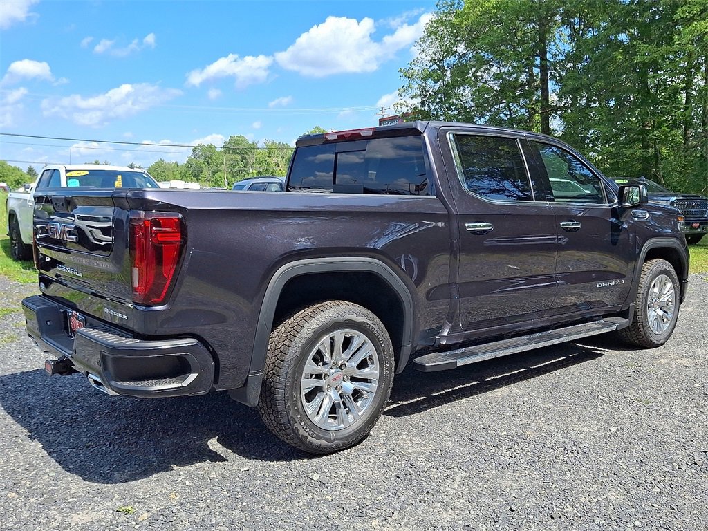 2025 Gmc Sierra 1500 Denali photo 3