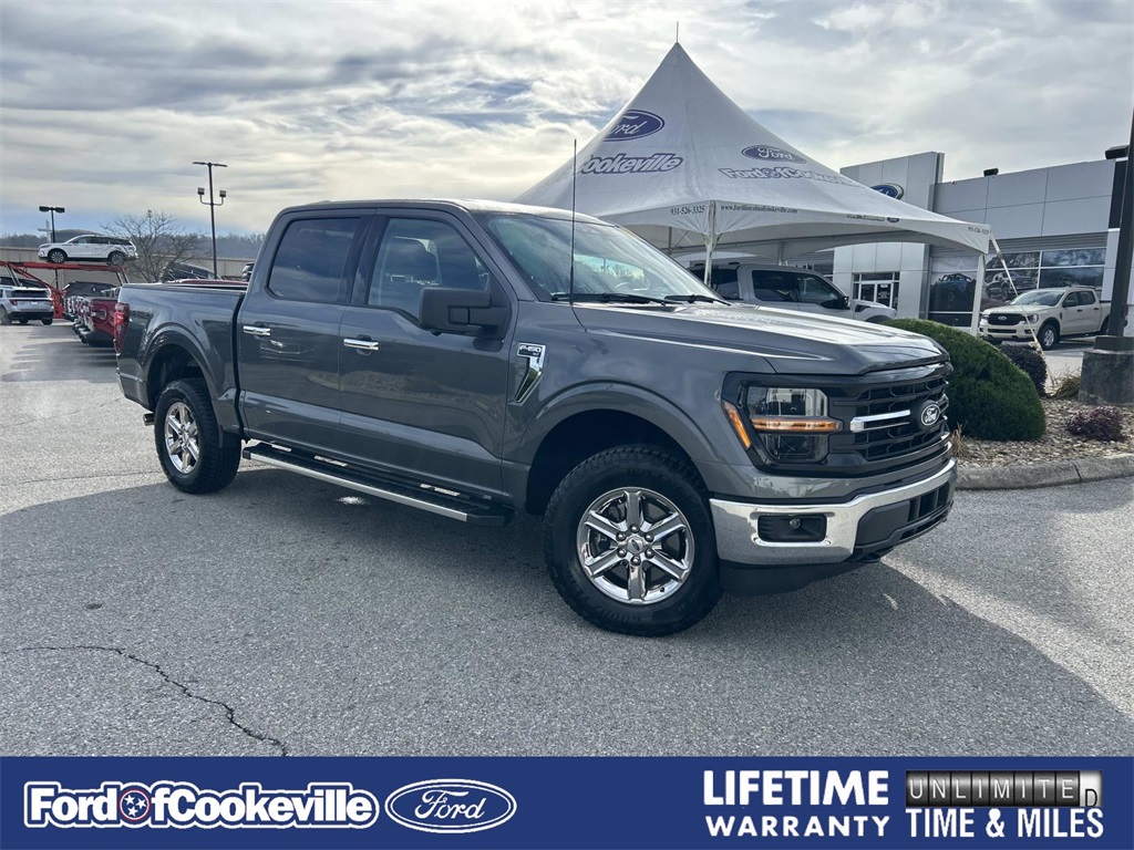 2024 Ford F-150 XLT's photo