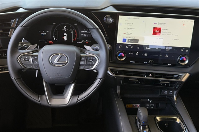2025 Lexus RX 350 Premium photo 11