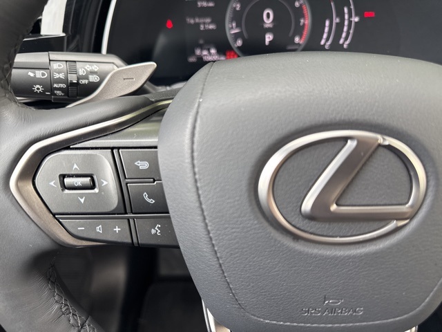 2024 Lexus RX 350 photo 26