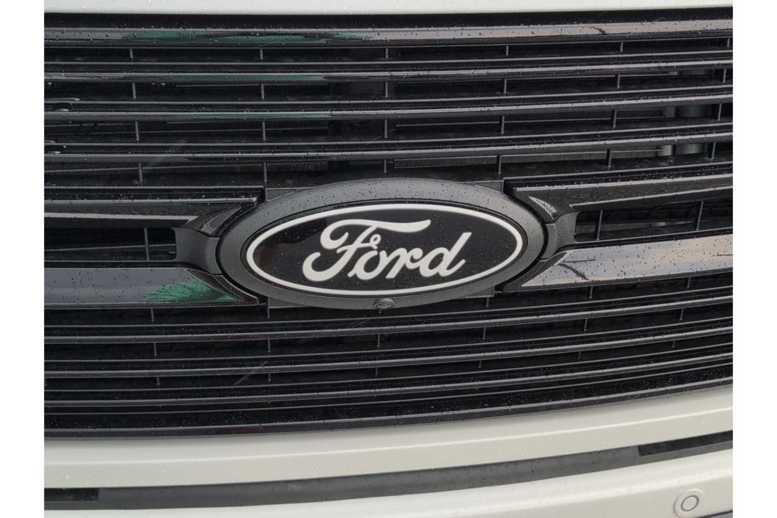 2025 Ford F-150 Platinum photo 4