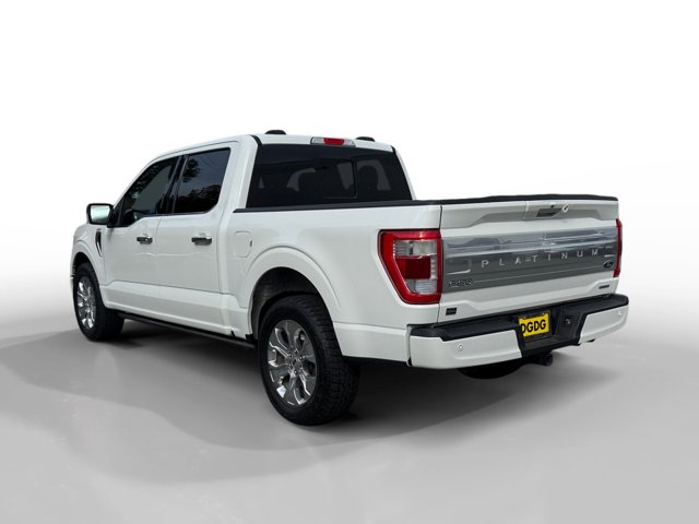 2021 Ford F-150 Platinum photo 3